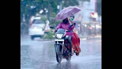 Rajasthan receives light to moderate rain