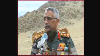 LAC standoff: Situation along China border serious, says Army Chief