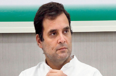 Find solutions to problems being faced by youth: Rahul to govt