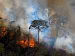 Brazil Forest fires