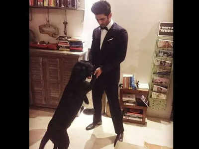 Sushant Singh Rajput sent funds for his dogs Amar, Akbar, Anthony a day before death: Farmhouse caretaker