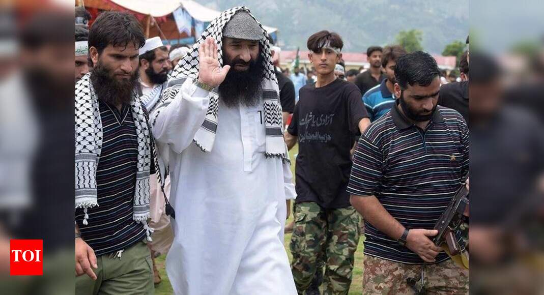 Indian agencies get Pak document ‘certifying’ Hizbul chief Salahuddin as ‘bona fide‘ official of ISI | India News – Times of India