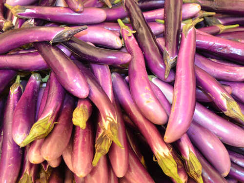 Eggplant: Its many varieties available across the world! | The Times of India Eggplant: Its many varieties available across the world! | The Times of India