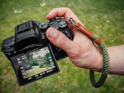 DSLR cameras with LCD screen monitor to review recorded images