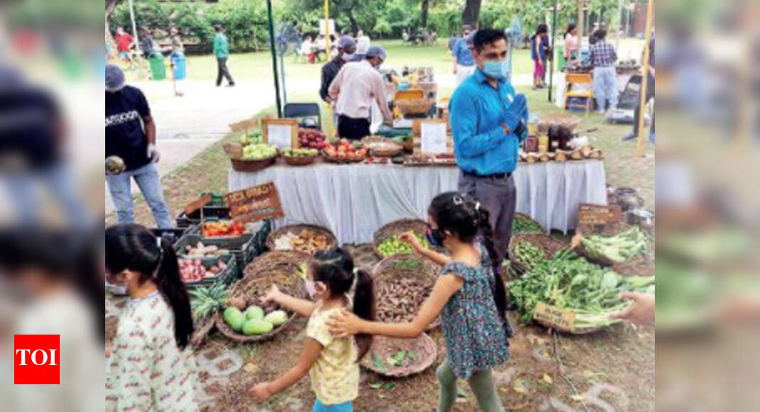 Back to nature 1,100 throng organic market at Delhi's Sunder Nursery