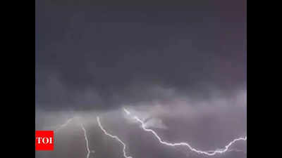 Man, two bulls killed in lightning strike in Gujarat