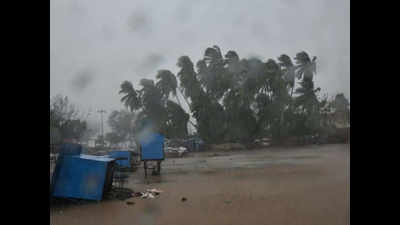 Maharashtra: Cyclone victims still await relief
