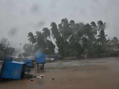 Maharashtra: Cyclone victims still await relief