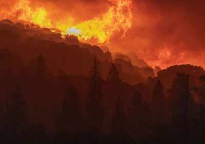 Wildfires roar through Great Smoky Mountains - Los Angeles Times