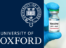 Oxford vaccine trial paused over safety concern
