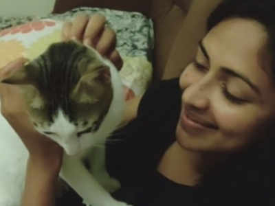 Amala Paul shares a cute video of her cat’s night time routine