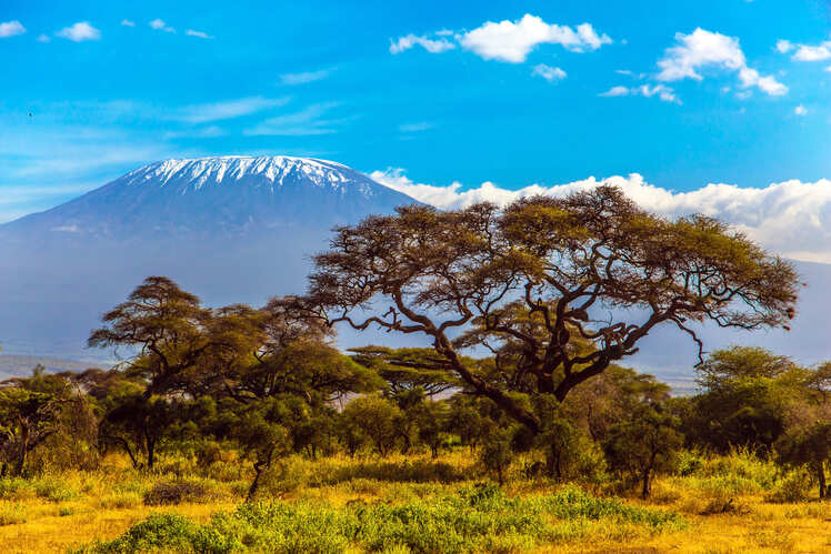 Mount Kilimanjaro, Tanzania, Africa