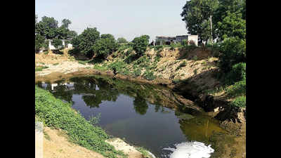 Gurujal revives pond in Pataudi, more on cards