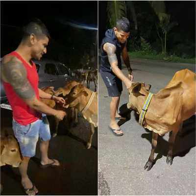 MMA fighter Nelson Paes' new initiative is all about caring for strays