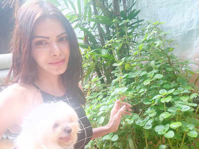 Sherlyn Chopra shares a glimpse from her kitchen garden. See pics