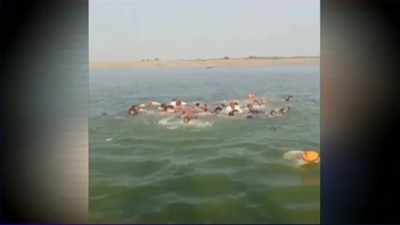 Rajasthan: Boat carrying 50 passengers capsizes in the Chambal river, 4 dead
