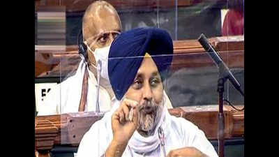 Shiromani Akali Dal toughens stance, to vote against farm bills in Rajya Sabha
