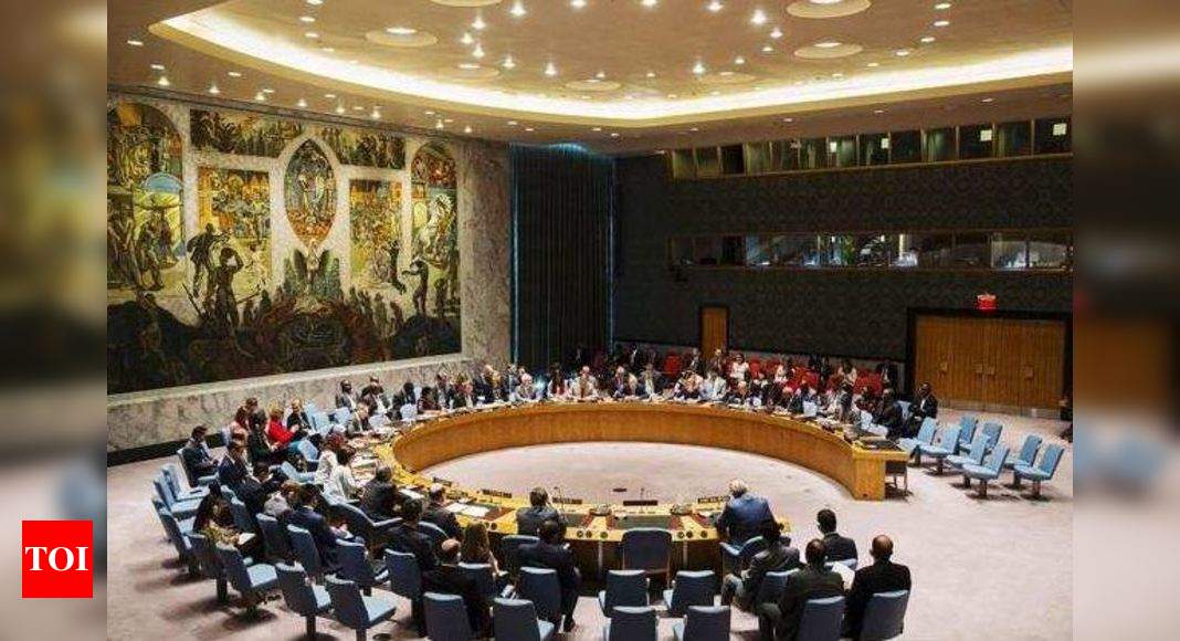 'India working with nations for UNSC expansion'