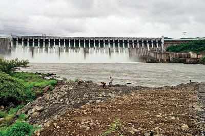 Gujarat: Sardar Sarovar dam overflows