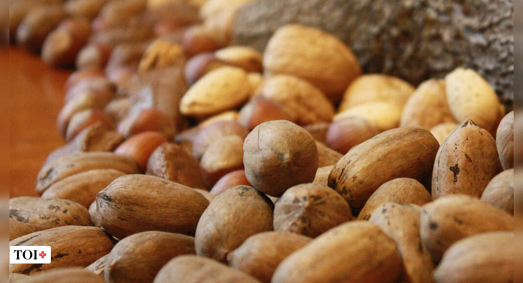Why Brazil nuts are on the government’s watchlist now Times of India