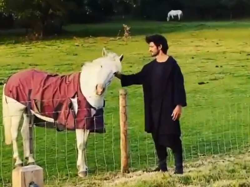 Watch Vidyut Jammwal bond with a horse in this adorable video | Hindi Movie  News - Times of India