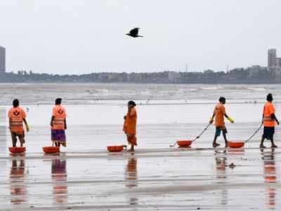 India seeks Blue Flag eco-label for its eight beaches, launches its own tag ‘BEAMS’ for clean beach