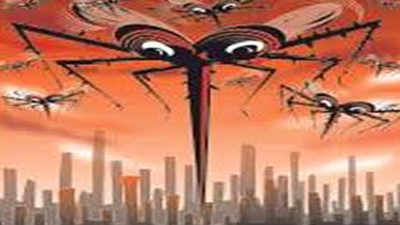Delhi: In Covid times, dengue emerging as big risk