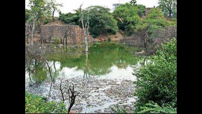 MCG’s Ghata pond revival project picks up pace after four years