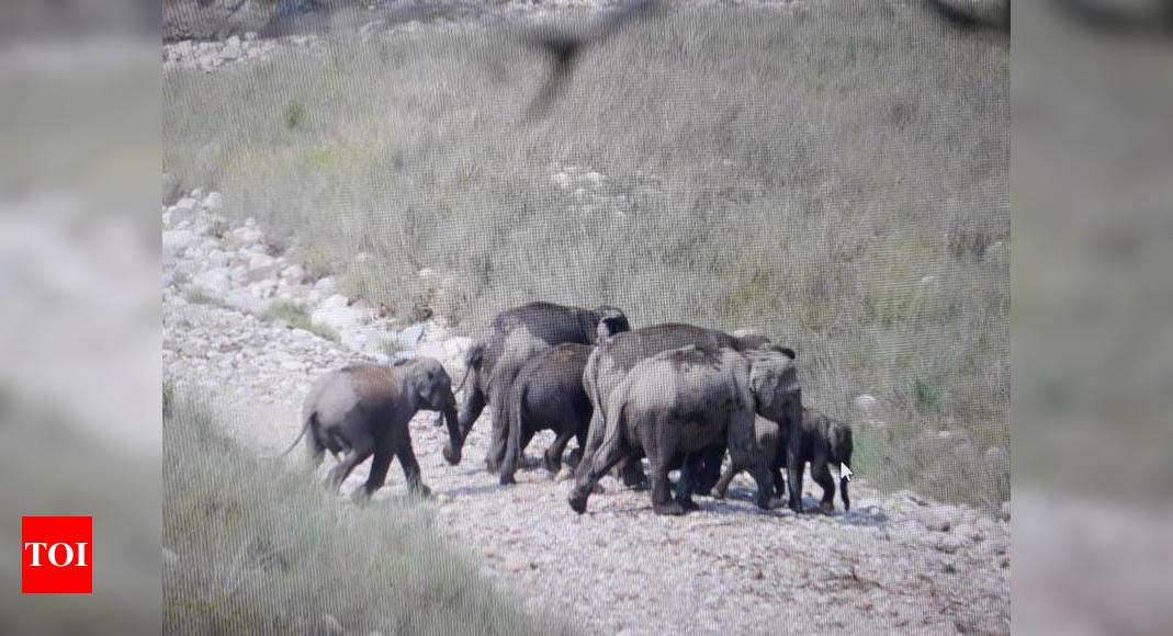 Genetic mapping of over 2700 elephants in India