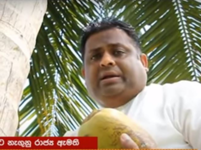 Sri Lankan Minister climbs tree to address public on shortage of coconuts