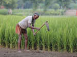 Rajya Sabha passes two farm Bills amid fierce protest