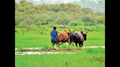 Farm bills a direct assault on Constitution: K Keshava Rao