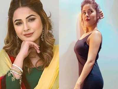 Bigg Boss 13 fame Shehnaaz Gill looks stunning in a black pencil dress, see photos of her amazing transformation