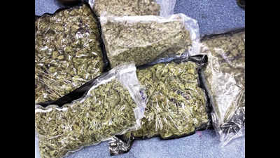 Lucknow youth held for importing marijuana from US