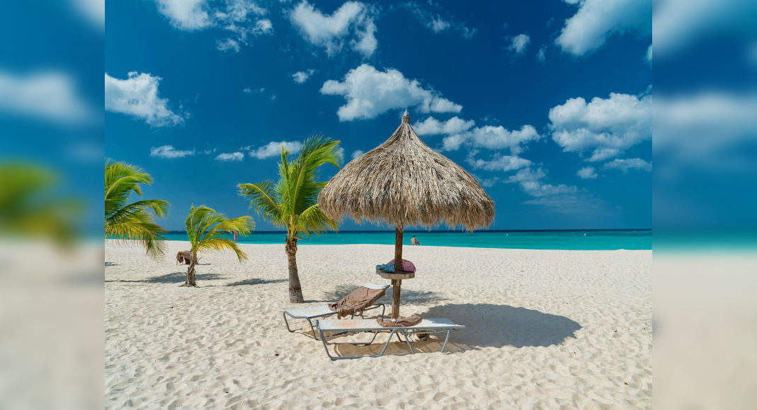 All those working from home can do the same from Aruba’s gorgeous ...