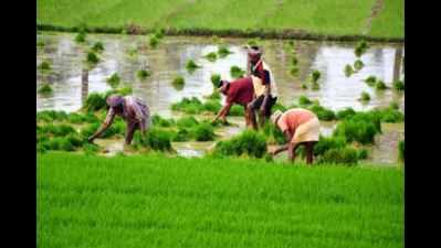 MP govt announces Rs 4,000 year to farmers under CM scheme