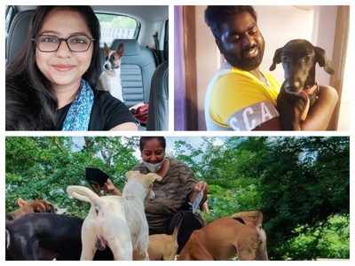 Indians are bringing Indian doggos home as their lockdown companions