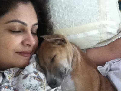 Exclusive! Ayesha Jhulka's allegedly murdered pet dog's caretaker arrested and produced in court | Hindi Movie News - Times of India