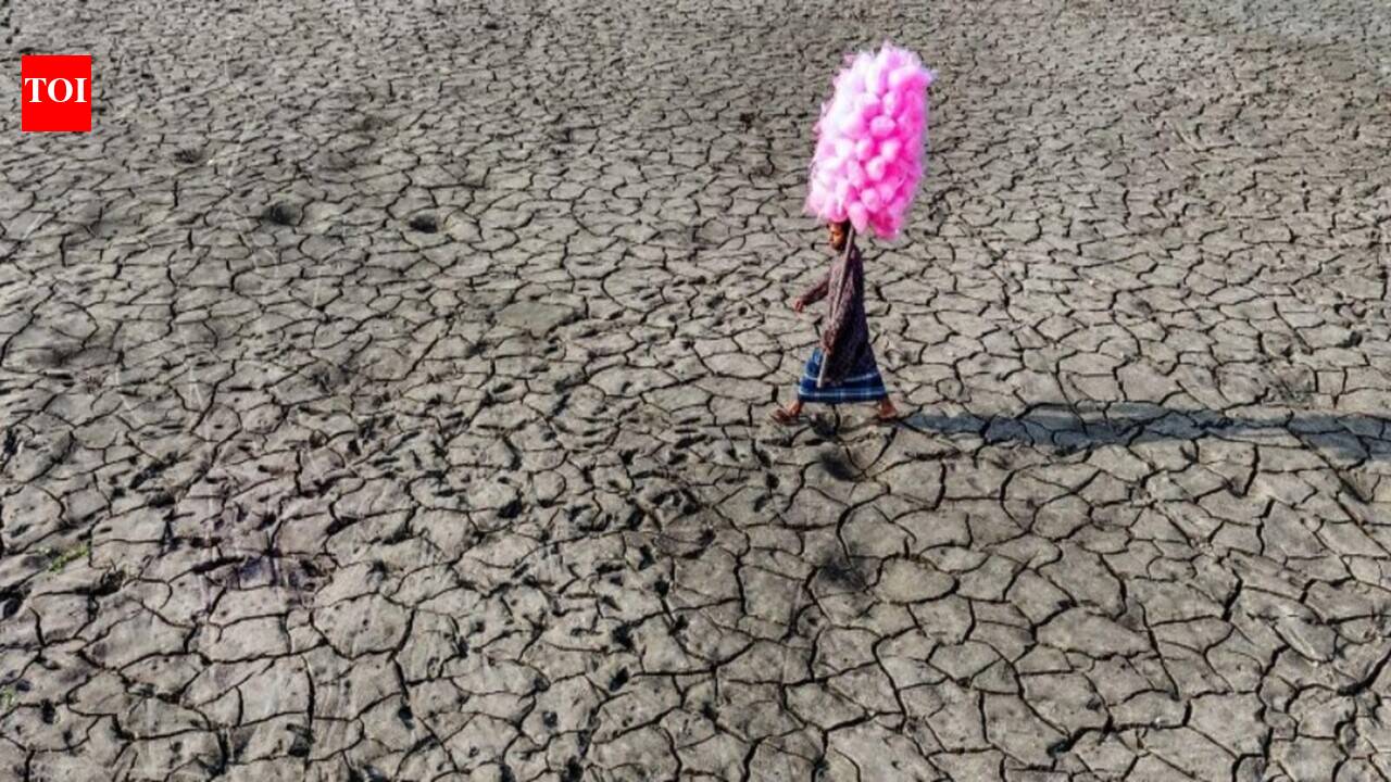 India showcases power play at climate change event
