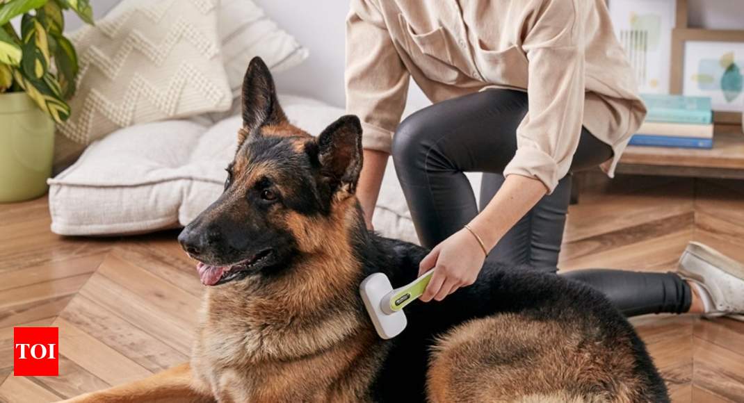 dog shedding jacket