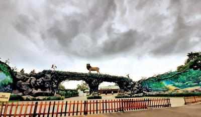 Gujarat: Statue of Unity jungle safari to reopen from October 1 | Vadodara  News - Times of India