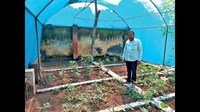 Gujarat: Principal takes to organic farming to provide students with fresh veggies