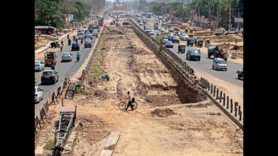No trees to replace nearly 16,000 axed on Sohna Road