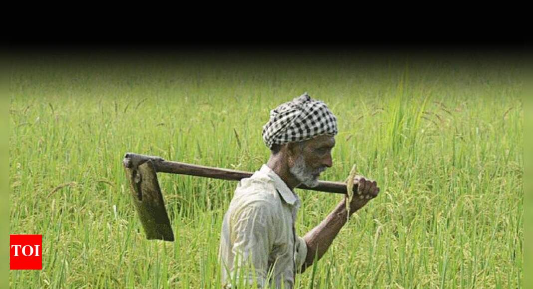 Agriculture bills 2020: Why Punjab, Haryana farmers are ...