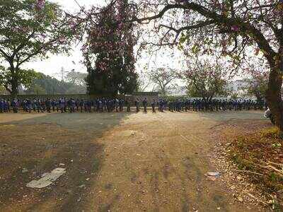 Zimbabwe begins gradual reopening of schools amid virus - Times of India