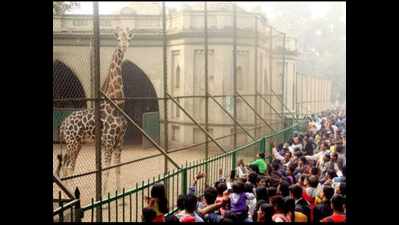 Alipore Zoo to reopen, online tickets and mask stalls a part of new normal