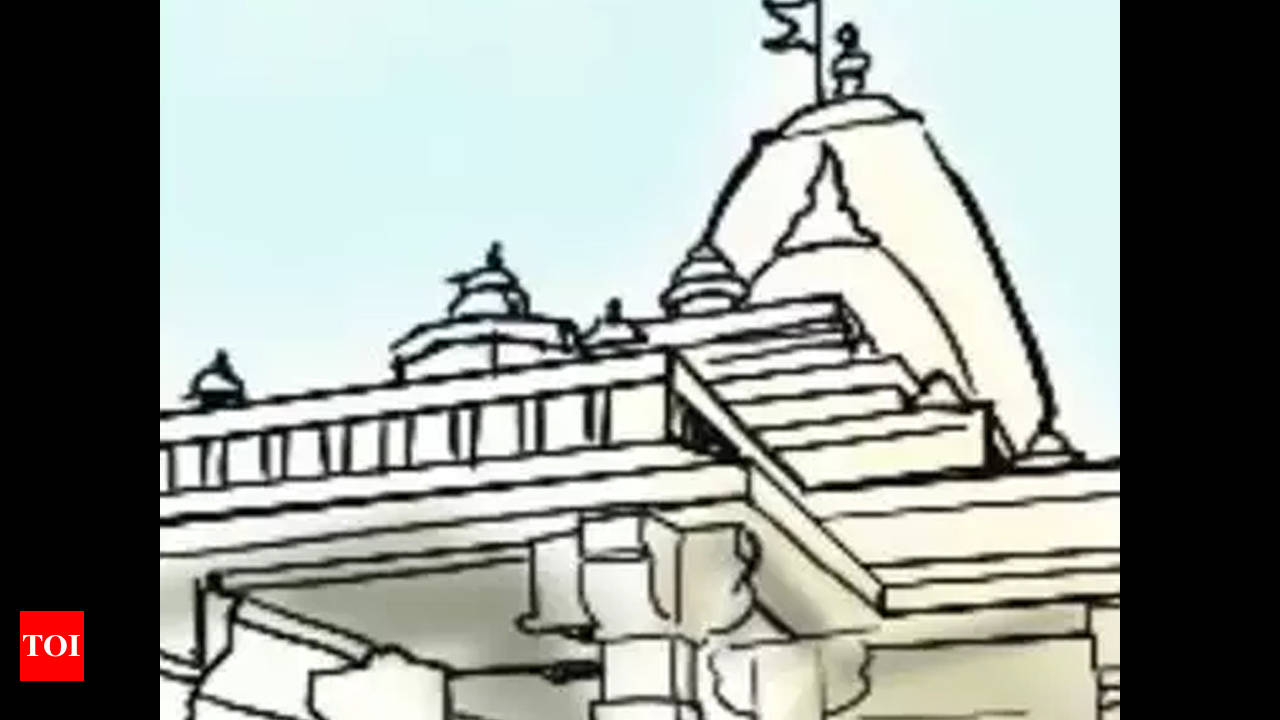 In Bapu's footsteps | Andhra Pradesh News - The Hindu