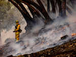 Wildfires engulf California's Napa Valley