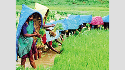 Karnataka government to push farm and labour ordinances