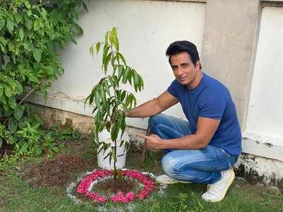 Sonu Sood takes up the Green India Challenge on the sets of Alludu Adhurs